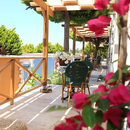 Hotel Ceshme 4*
